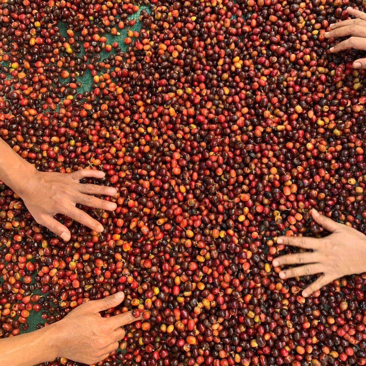 5 Year Anniversary Espresso