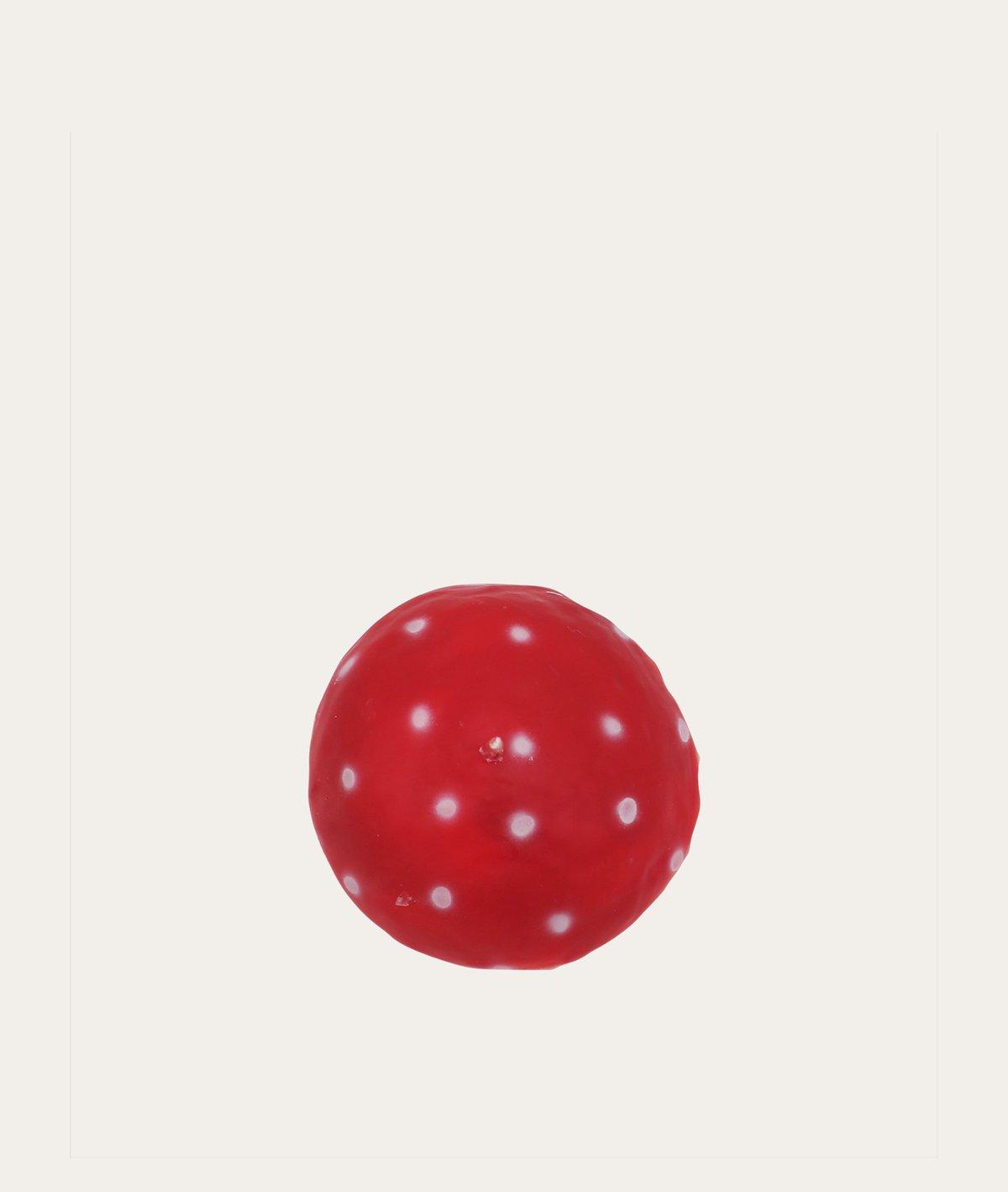 Fly Agaric