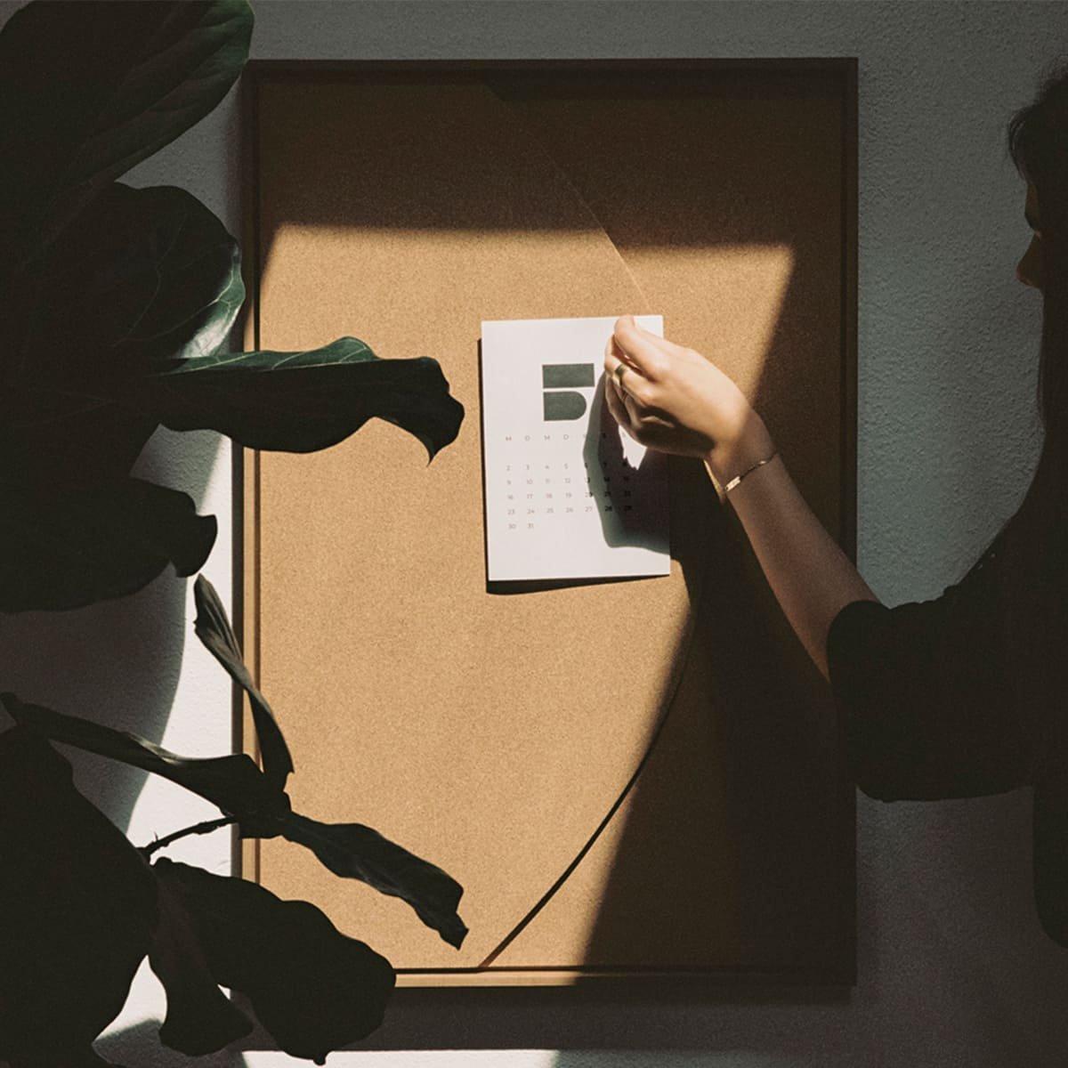 Eco-Cork Pinnable Board