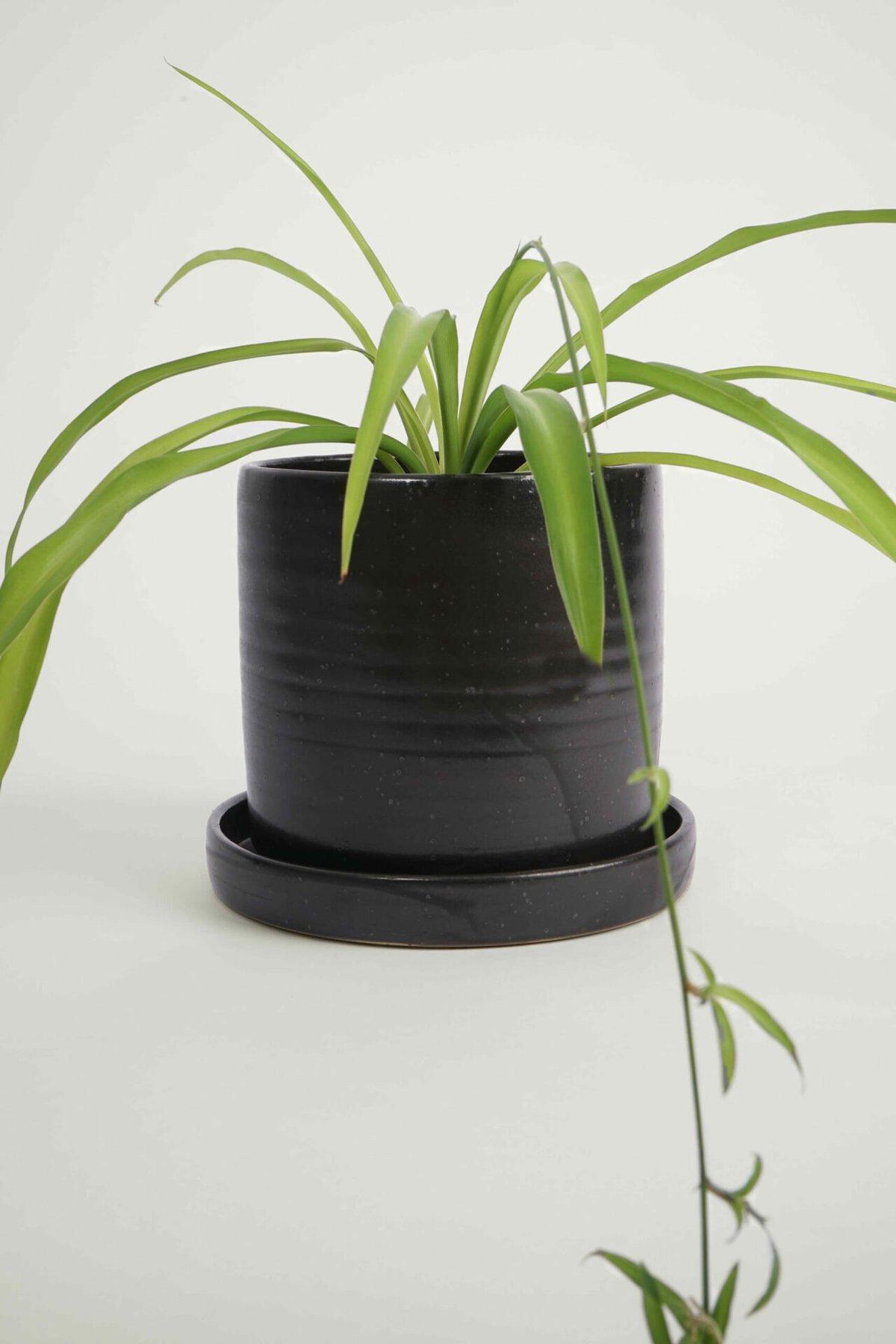 Burri Black Stoneware Plant Pot